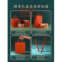 凌美lamy鋼筆新款磨砂綠橙禮盒套裝德國正品狩獵者”，顏色分類（磨砂橙墨水套盒）